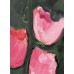 Tulips - Original Oil Painting on Canvas